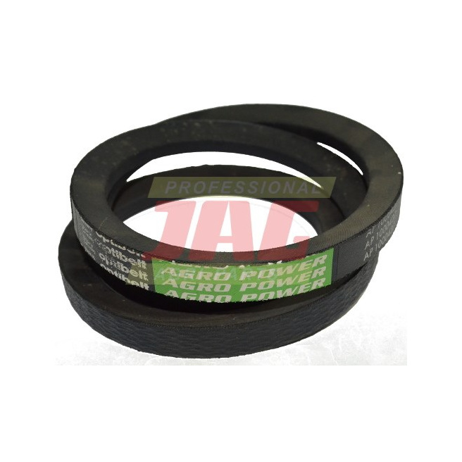 AP1000437 Pas Optibelt Agro Power