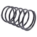 788804 Variator spring