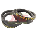 0172208 Gates Agri belt 2 pcs