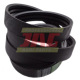 AP1001010 Pas Optibelt Agro Power