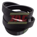 AP1001010 Courroie Optibelt Agro Power