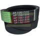 AP1001550 Pas Optibelt Agro Power