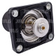 4133L019 Termostat z obudowÄ…