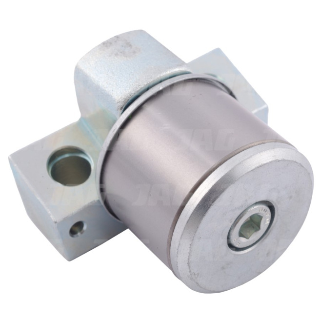 JAG21-0160 ÅoÅ¼ysko gÅ‚Ã³wki kosy