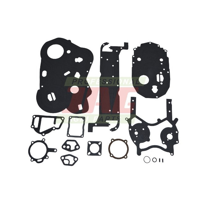 JAG99-0066 Zestaw uszczelek silnika dÃ³Å‚