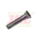 10H1066 Screw Original JD
