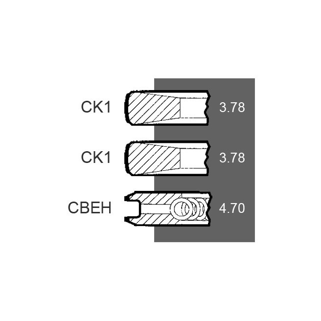 RE48380 Pierścienie tłokowe