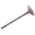 JAG99-0638 Intake valve
