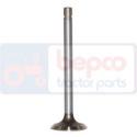JAG99-0639 Intake valve