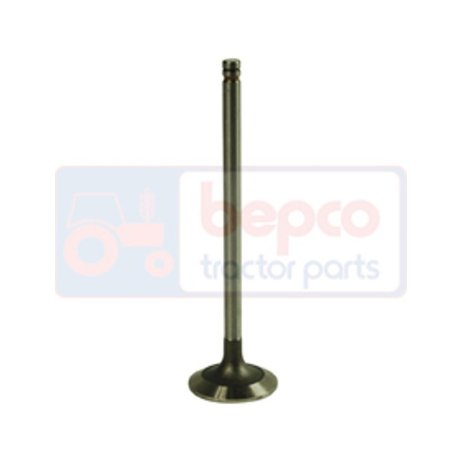 R518806 zawór ssący