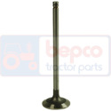 R518806 intake valve