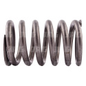 R26125 Outer valve spring