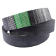 AP1001973 Pas Optibelt Agro Power
