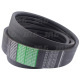 AP1001973 Pas Optibelt Agro Power