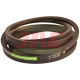 AP1000484 Pas Optibelt Agro Power
