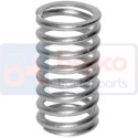 R26125 Outer valve spring