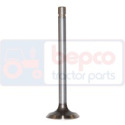 R504061 Exhaust valve