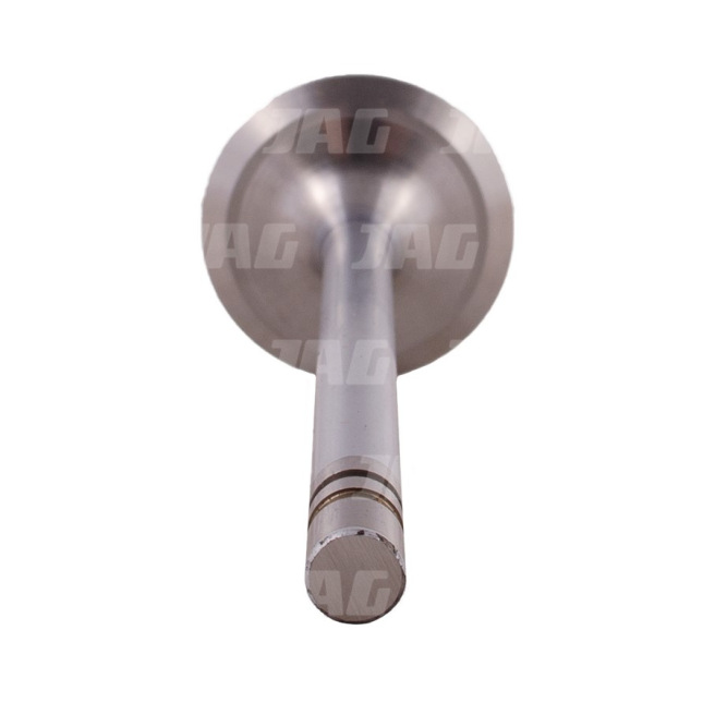 R51735 Zawór ssący