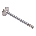 JAG99-0640 Exhaust valve
