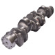RE505921 Wał korbowy JD POWERTECH 6.068 D/H/T (3/4" - 16) 6-cyl - FORGED