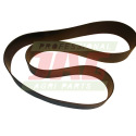 Courroie plate Agrobelts 140X03315