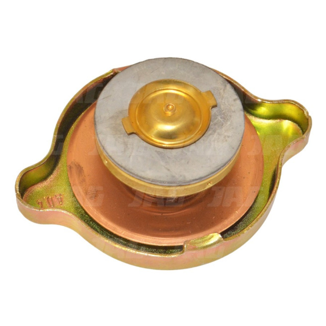 Z29121 Korek chłodnicy