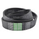 AP1001979 Pas Optibelt Agro Power