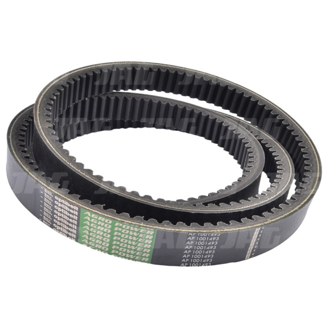 AP1001493 Pas Optibelt Agro Power