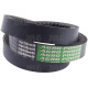 AP1001397 Pas Optibelt Agro Power