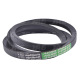AP1002811 Pas Optibelt Agro Power