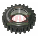 JAG46-0036 Engrenage