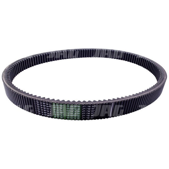 AP1001316 Pas Optibelt Agro Power