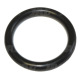 094031 Oring