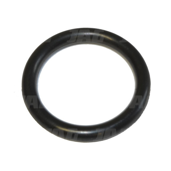 094031 Oring