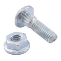 84429100/102 Screw with nut