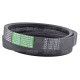 AP1001602 Pas Optibelt Agro Power