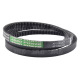 AP1005507 Pas Optibelt Agro Power