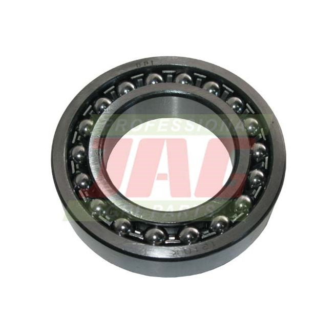 JAG07-0031 ÅoÅ¼ysko wahliwe MGK