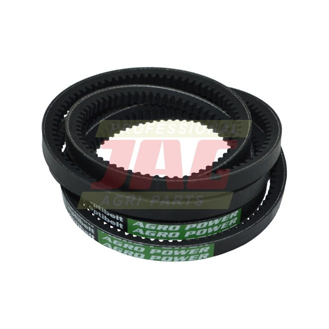 AP1002961 Pas Optibelt Agro Power