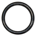 211923.0 O-ring Original Claas
