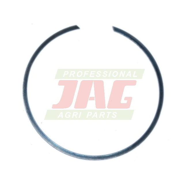 213458 PierÅ›cieÅ„ osadczy