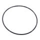 213863 Oring