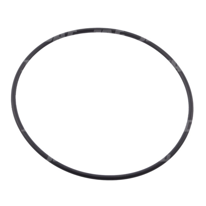 213863 Oring