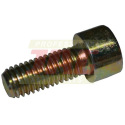 214749.01 Original Claas screw