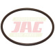 JAG08-0707 Oring OryginaÅ‚ CLAAS