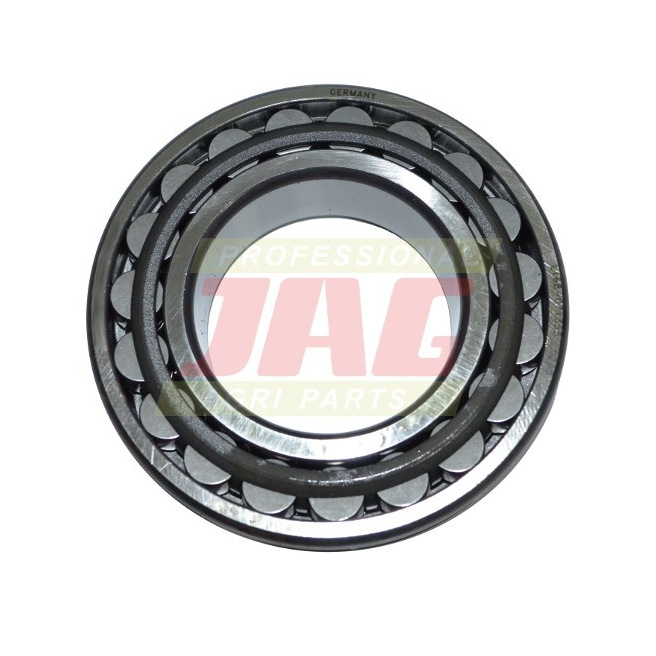 JAG05-0357 ÅoÅ¼ysko wachliwe FAG