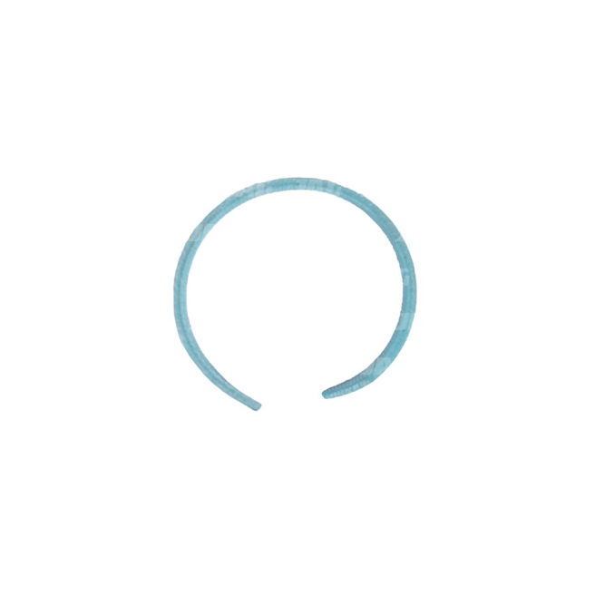 JAG09-0589 PierÅ›cieÅ„ prowadzÄ…cy