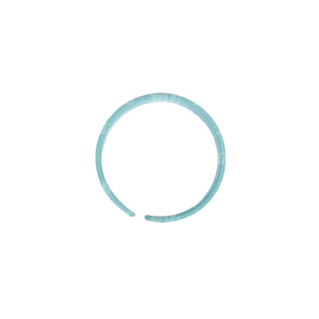 JAG09-0588 PierÅ›cieÅ„ tÅ‚oczyska