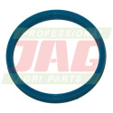 JAG09-0050 Mastic