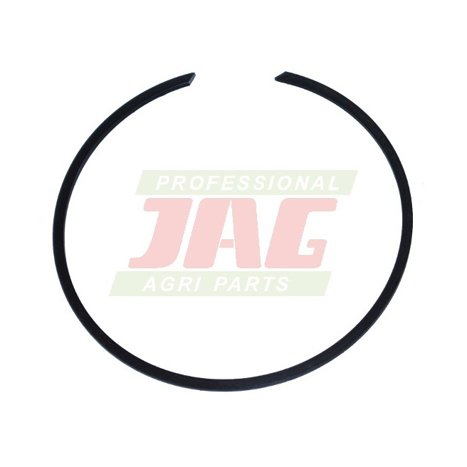 218007 PierÅ›cieÅ„ osadczy